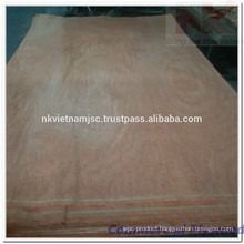 1200x2440 Vietnam Packing Plywood